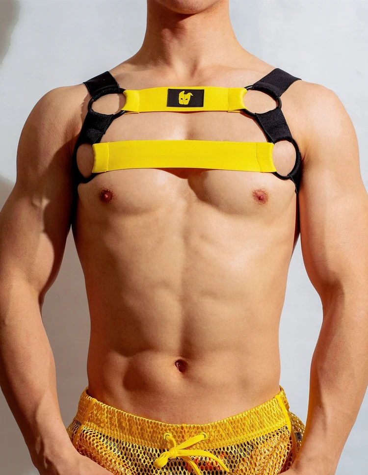 Harness  von DM Gay  Model " Basic x Harness " , Gay Harness Shop 