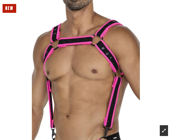 PRIDE x Harness in verschiedenen Farben  Model " PRIDE x5 SHOW 5 " , Gay Harness 