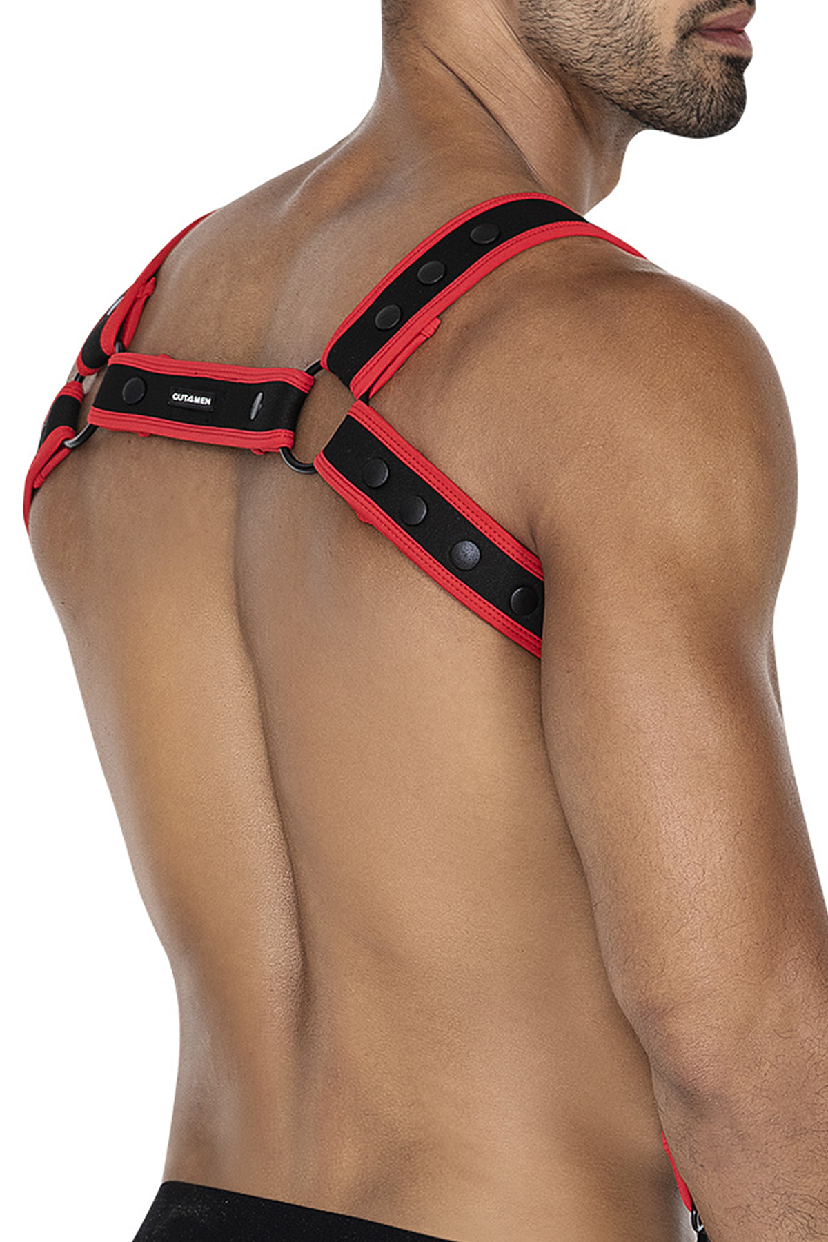 PRIDE x Harness in verschiedenen Farben  Model " PRIDE x5 SHOW 3 " , Gay Harness 