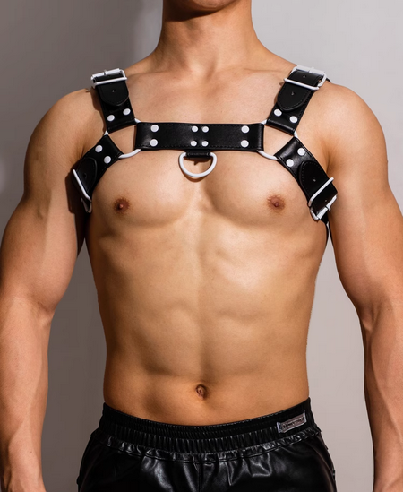Harness in Schwarz von DM Gay  Model " Gay x2 Harness " , Gay Fashion 