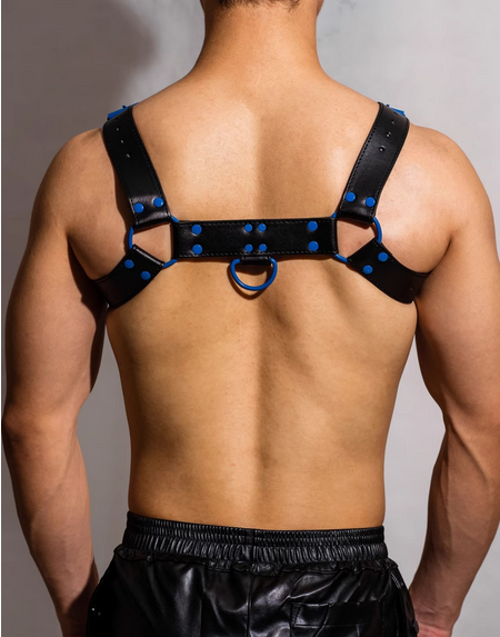 Harness in Schwarz mit Blau von DM Gay  Model " Gay x2 Harness " , Gay Fashion  