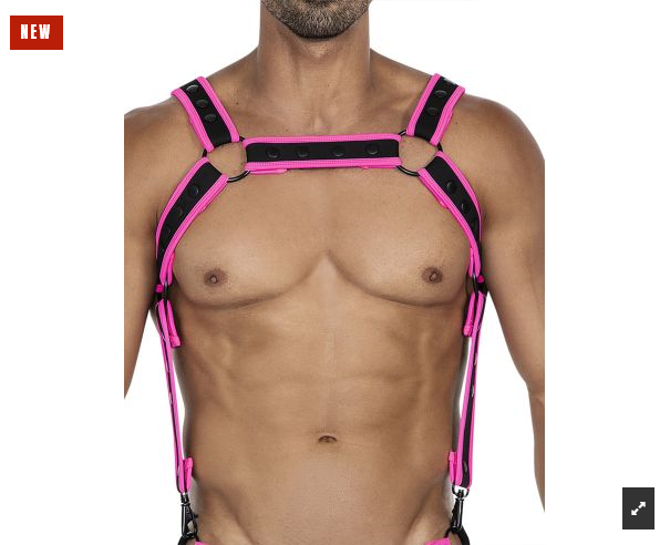 PRIDE x Harness in verschiedenen Farben  Model " PRIDE x5 SHOW 5 " , Gay Harness 