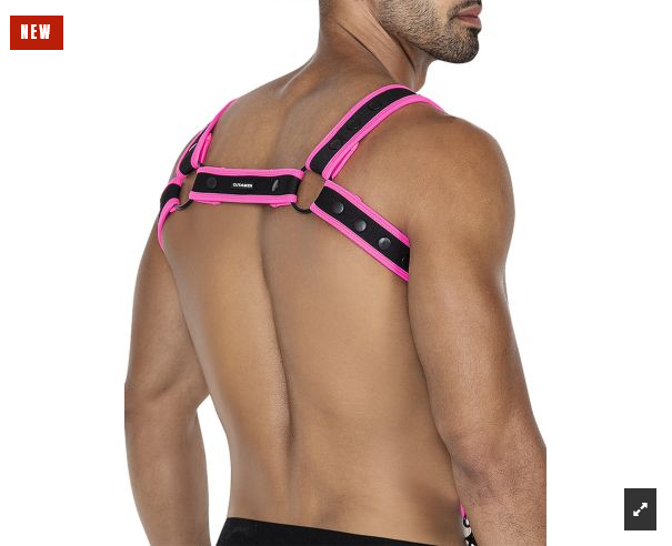 PRIDE x Harness in verschiedenen Farben  Model " PRIDE x5 SHOW 5 " , Gay Harness 