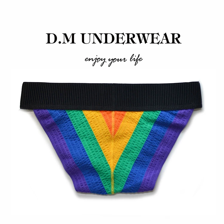 Jockstrap im Pride Style von DM Gay  Model " Rainbown X " , Pride Fashion 