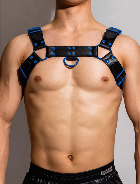 Harness in Schwarz mit Blau von DM Gay  Model " Gay x2 Harness " , Gay Fashion  