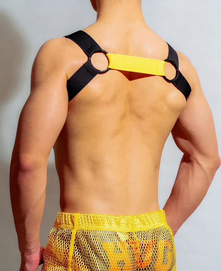 Harness  von DM Gay  Model " Basic x Harness " , Gay Harness Shop 
